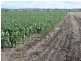 Dalby QLD 4405