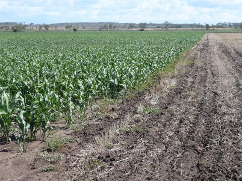 Dalby QLD 4405