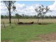 Dalby QLD 4405