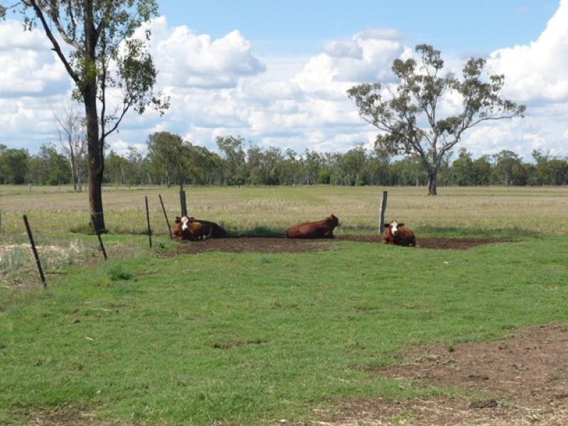 Dalby QLD 4405