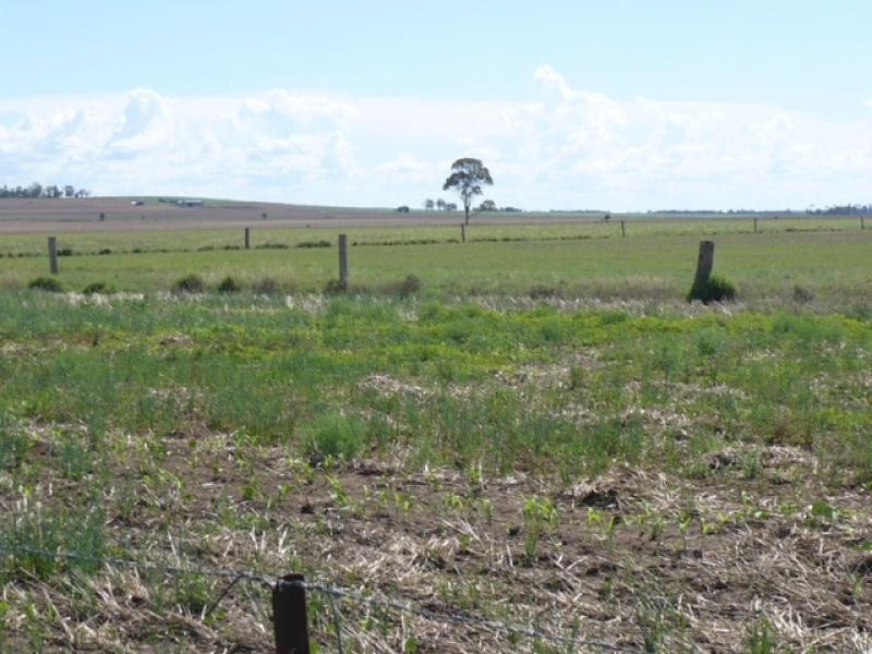 Dalby QLD 4405