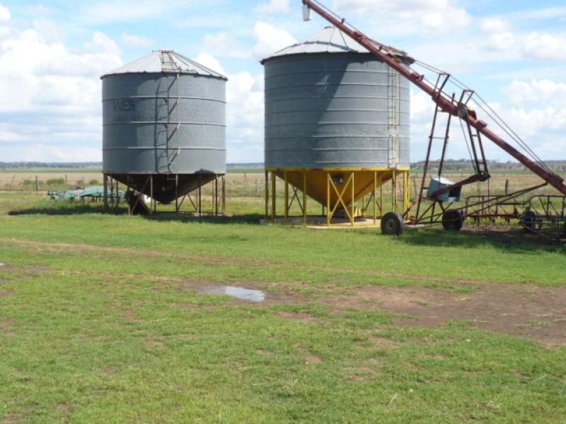 Dalby QLD 4405