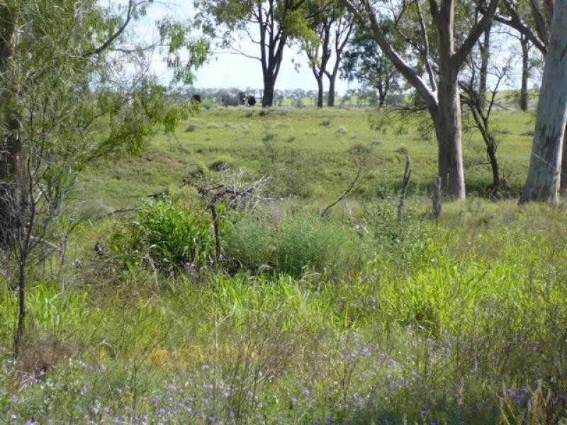 Dalby QLD 4405