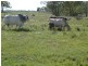Dalby QLD 4405
