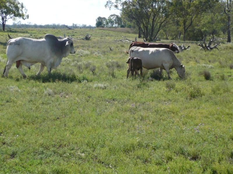 Dalby QLD 4405