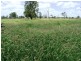 Bollon QLD 4488