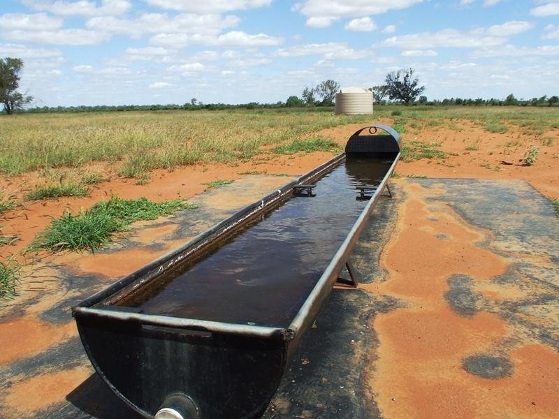 Bollon QLD 4488