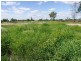 Bollon QLD 4488