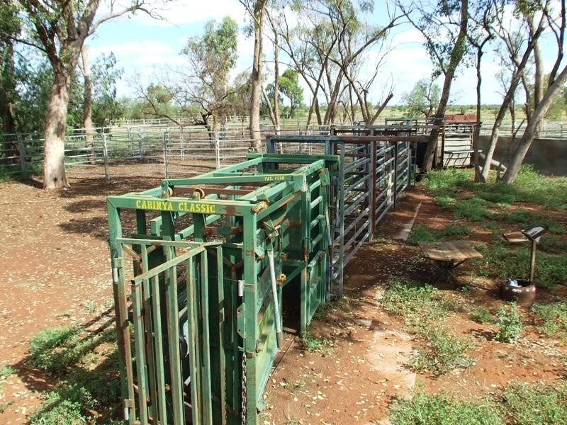 Bollon QLD 4488
