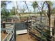 Bollon QLD 4488