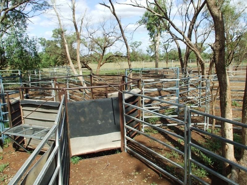 Bollon QLD 4488