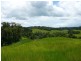 Miriwinni QLD 4871