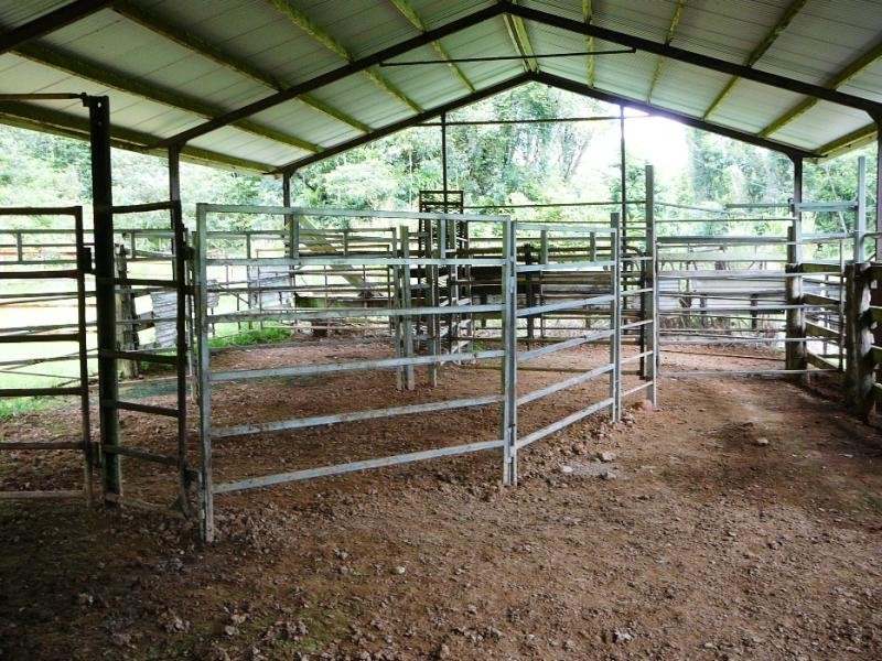 Miriwinni QLD 4871