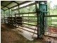 Miriwinni QLD 4871