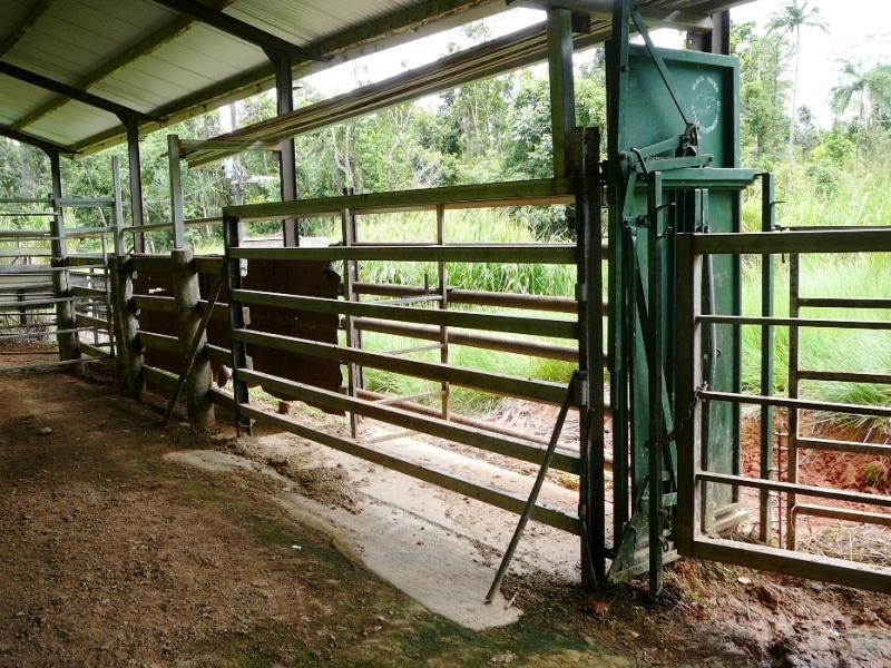 Miriwinni QLD 4871