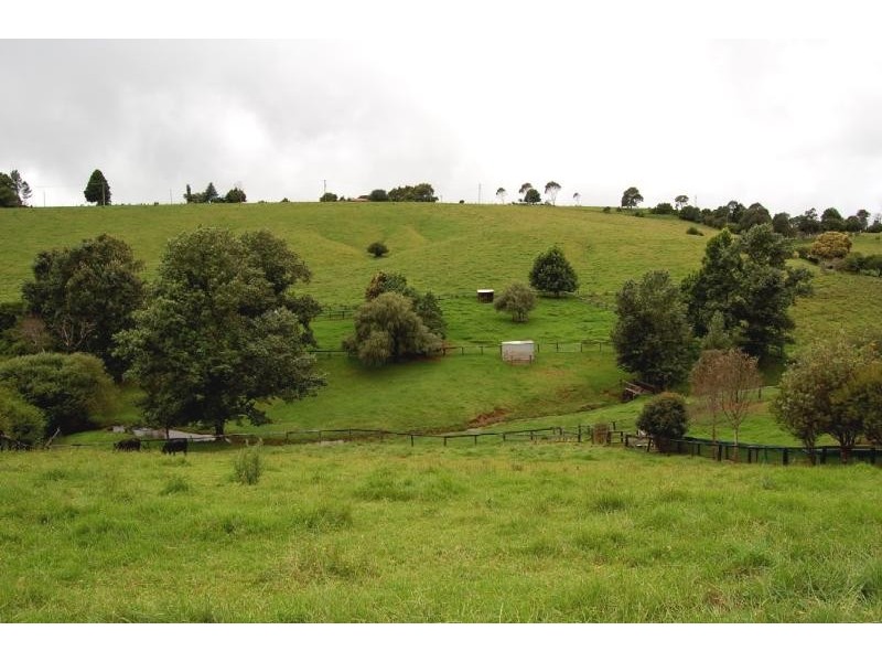 44 Kurrajong Street, Dorrigo NSW 2453