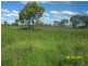 Bollon QLD 4488