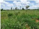 Bollon QLD 4488