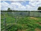 Bollon QLD 4488