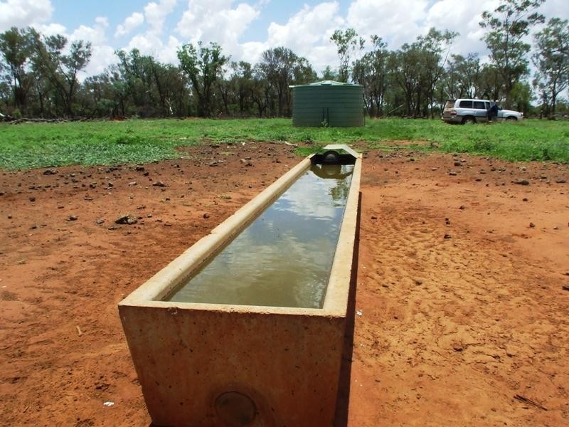 Bollon QLD 4488