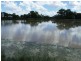 Bollon QLD 4488