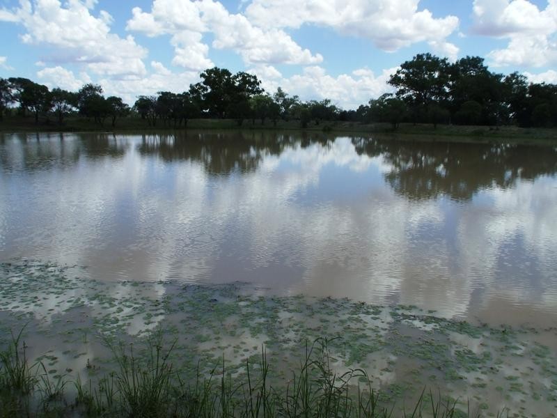 Bollon QLD 4488