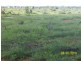 Bollon QLD 4488
