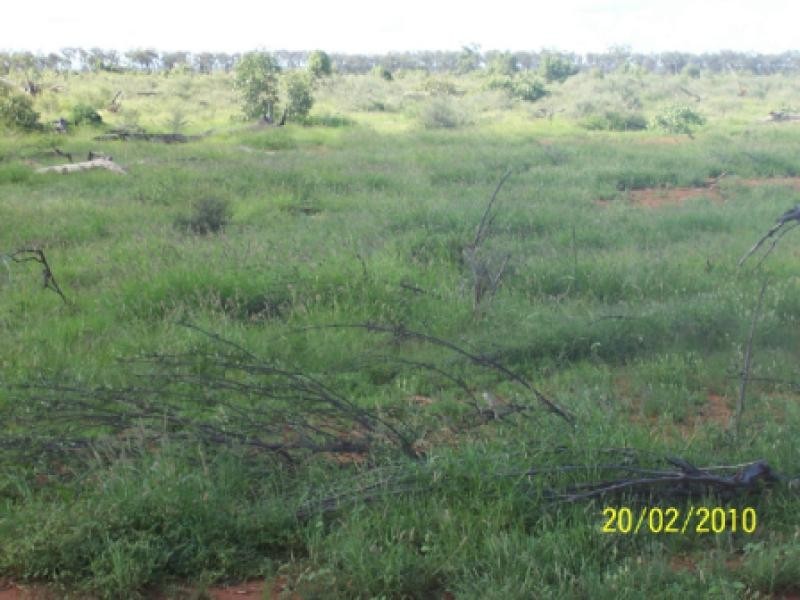 Bollon QLD 4488