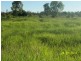 Bollon QLD 4488