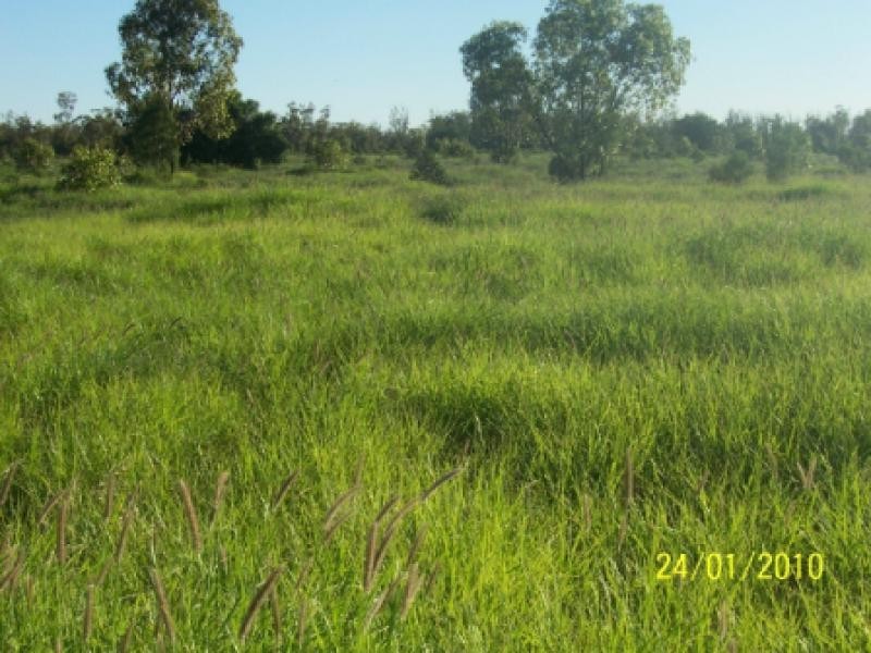 Bollon QLD 4488