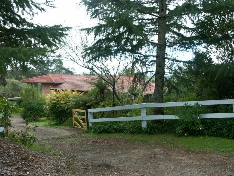 618 MAYNARDS PLAINS ROAD, Dorrigo NSW 2453
