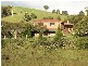 618 MAYNARDS PLAINS ROAD, Dorrigo NSW 2453