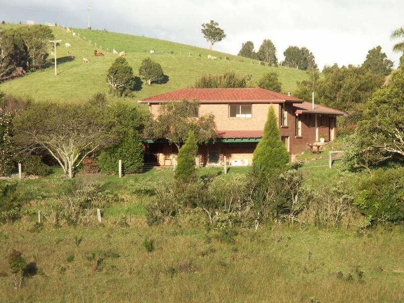618 MAYNARDS PLAINS ROAD, Dorrigo NSW 2453