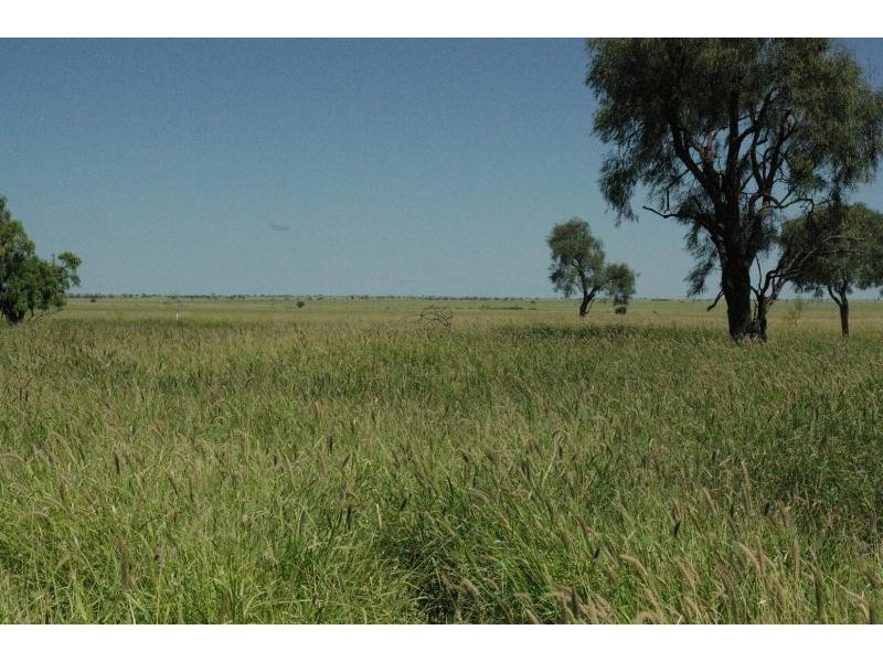 CORFIELD ROAD, Muttaburra QLD 4732