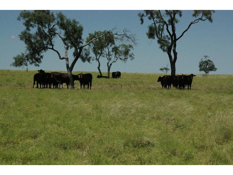 CORFIELD ROAD, Muttaburra QLD 4732