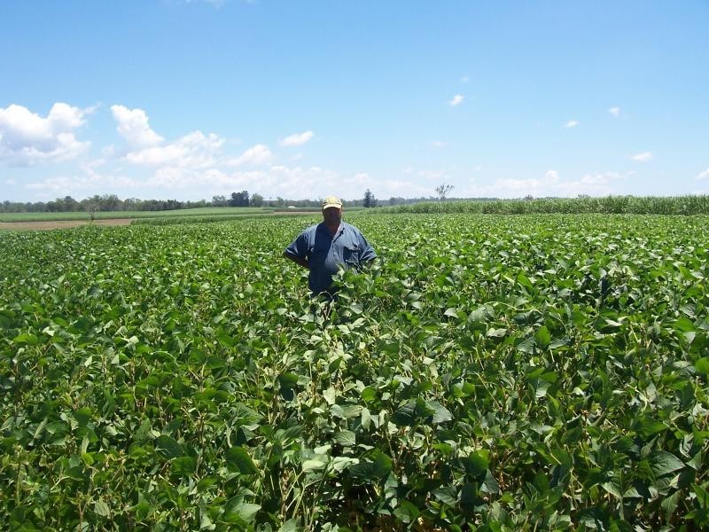 154 Drinan Road, Wallaville QLD 4671