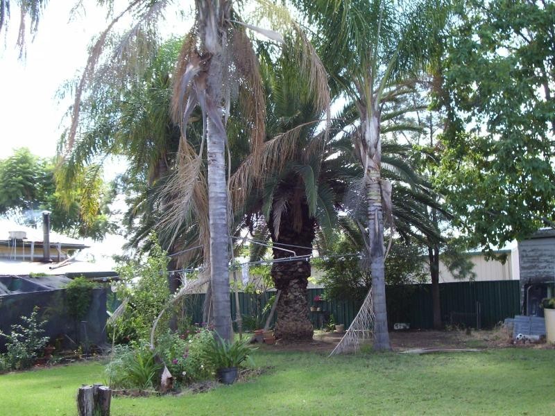 92 Robert St, Surat QLD 4417