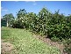 8 CHARLES STREET, Surat QLD 4417