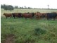 Jackson QLD 4426