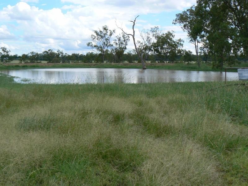 Jackson QLD 4426