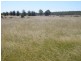 Jackson QLD 4426