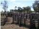 Jackson QLD 4426