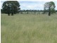 Jackson QLD 4426