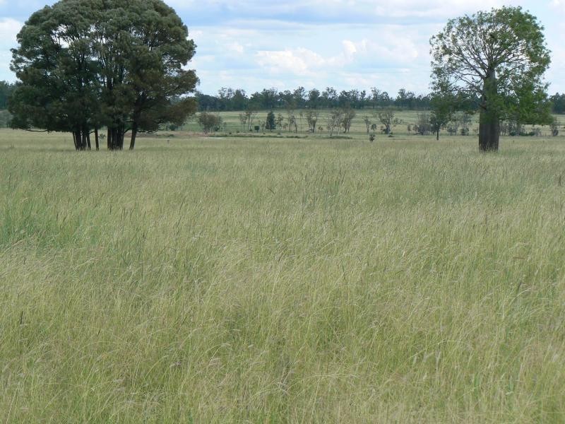 Jackson QLD 4426