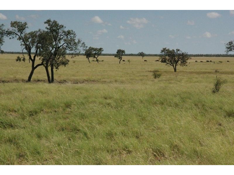 CORFIELD ROAD, Muttaburra QLD 4732