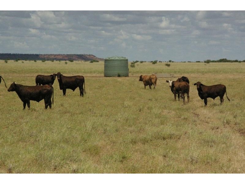 CORFIELD ROAD, Muttaburra QLD 4732