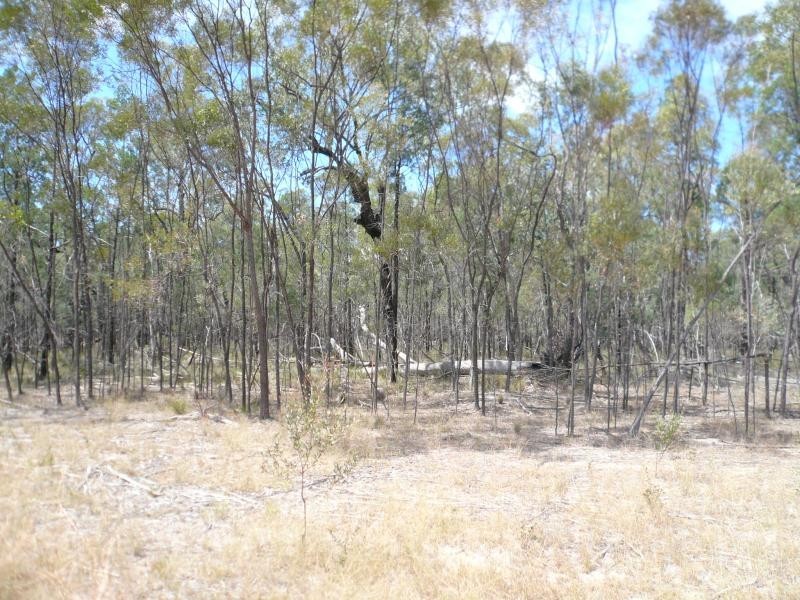 Lot 27/ CHRISTOPHER ROAD, Tara QLD 4421