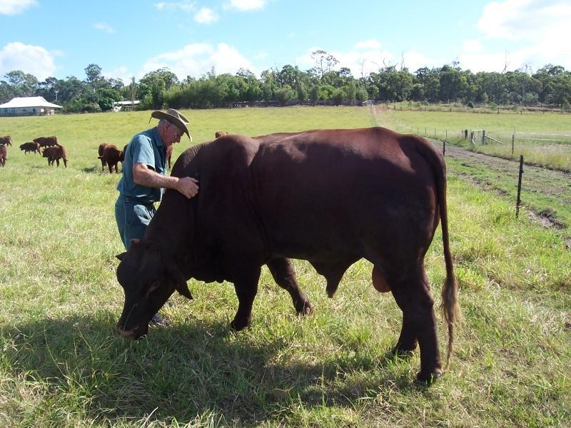 52 Booyan Road, Bundaberg QLD 4670