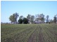 Dalby QLD 4405