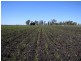Dalby QLD 4405